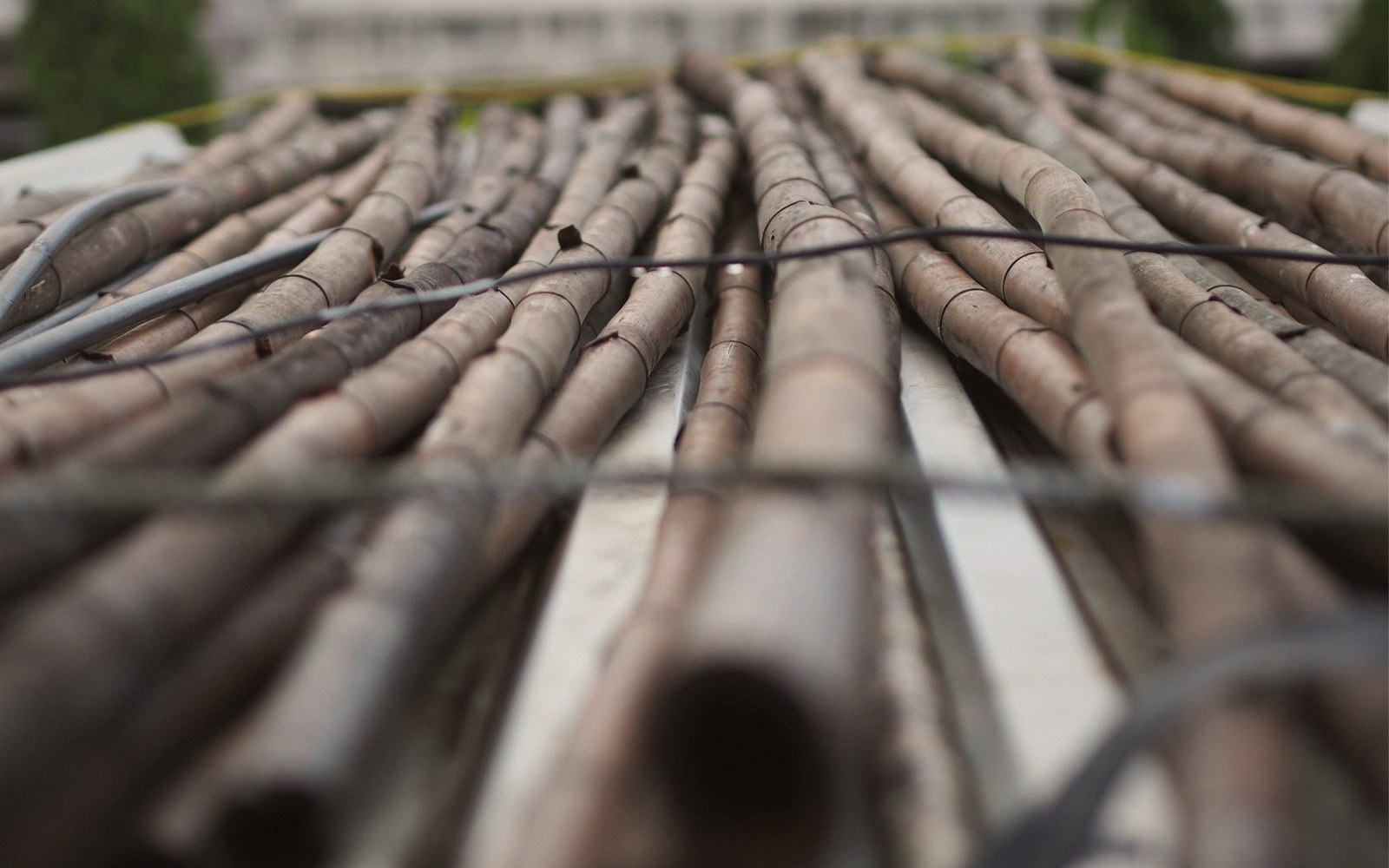 Rows of bamboo poles bound with wire, laid out for drying
