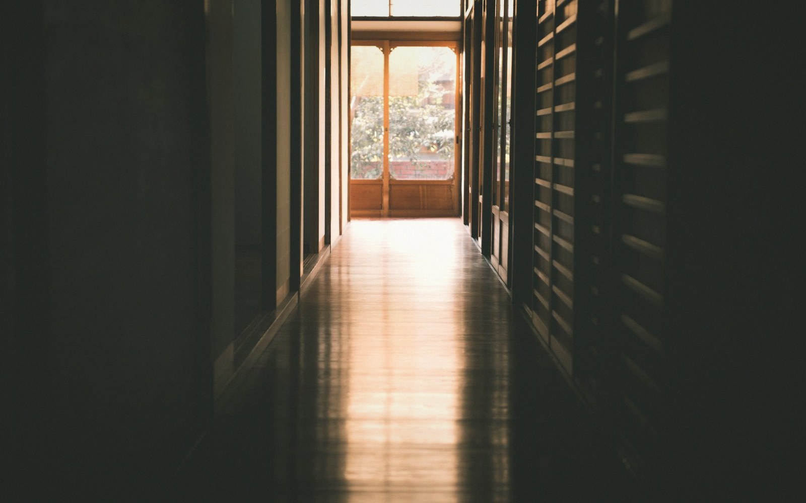 Sprung hall floorboards in low raking light